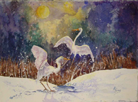 Dancing in the Moonlight